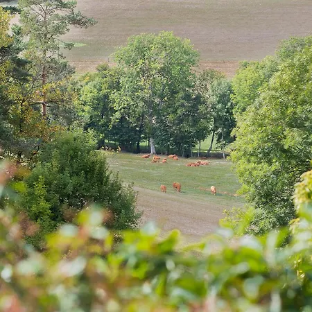 Bed & Breakfast Domaine De Reiller & D'hotes *
