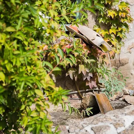 Bed & Breakfast Domaine De Reiller & D'hotes